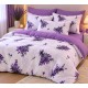 Lenjerie de Pat, Bumbac Ranforce  cu elastic la saltea,  2 persoane, 240 x 240 , 50X70,  4 0 x 40 , 240 X 260, 6  piese,  Model Lavanda  nr 2