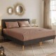 Cearceaf de pat cu elastic din bumbac ranforce 100%, 260 x260 brown light