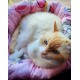 Culcus pentru animale  moale , confortabil , din bumbac ranforce , diverse modele
